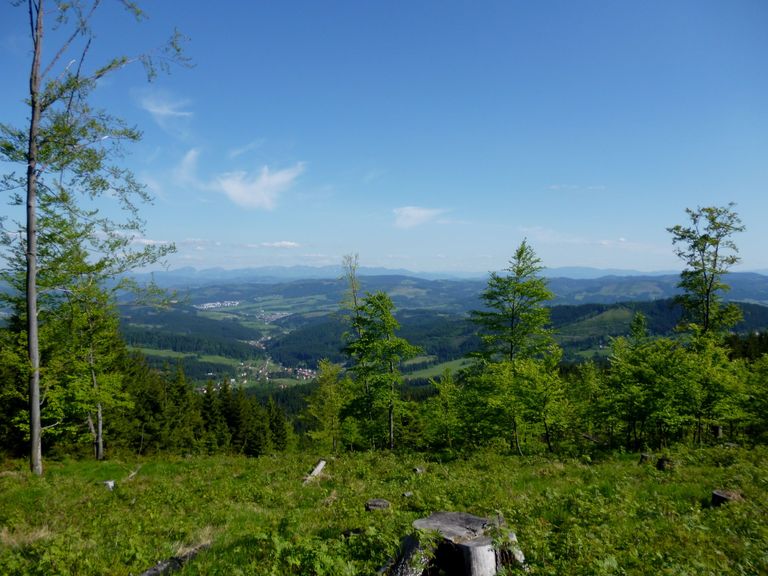 Skalka,Muřínkový vrch 2